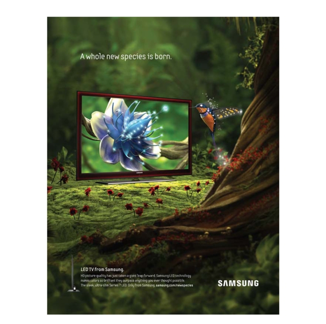 Species02_print